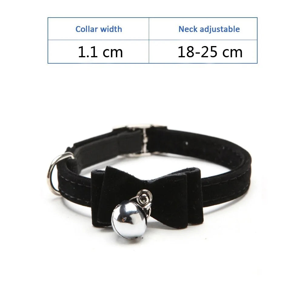 Kitten Puppy Leash Collars