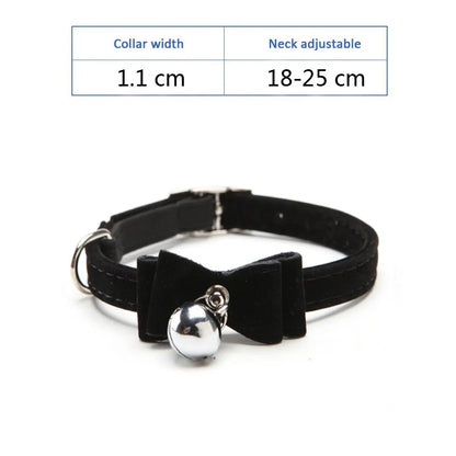 Kitten Puppy Leash Collars