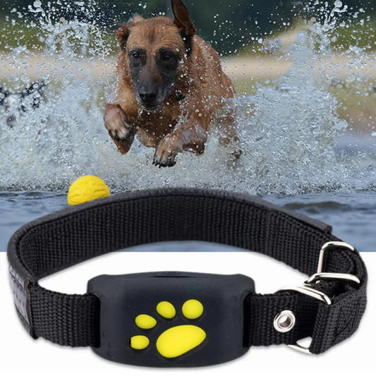 Smart Pet GPS Tracking Collar