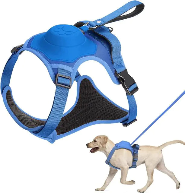 All-in-One Dog Harness and Retractable Leash Set