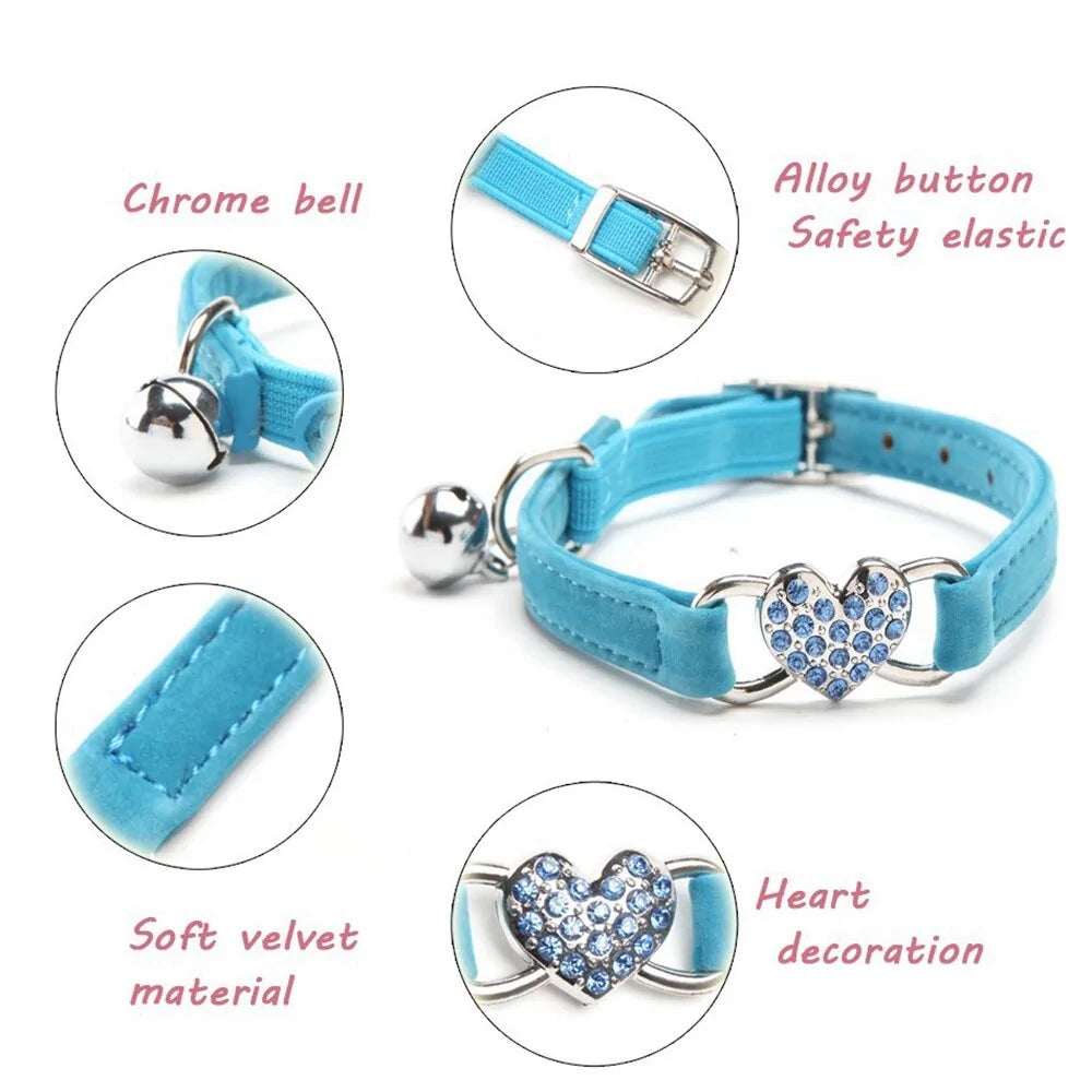 Kitten Puppy Leash Collars