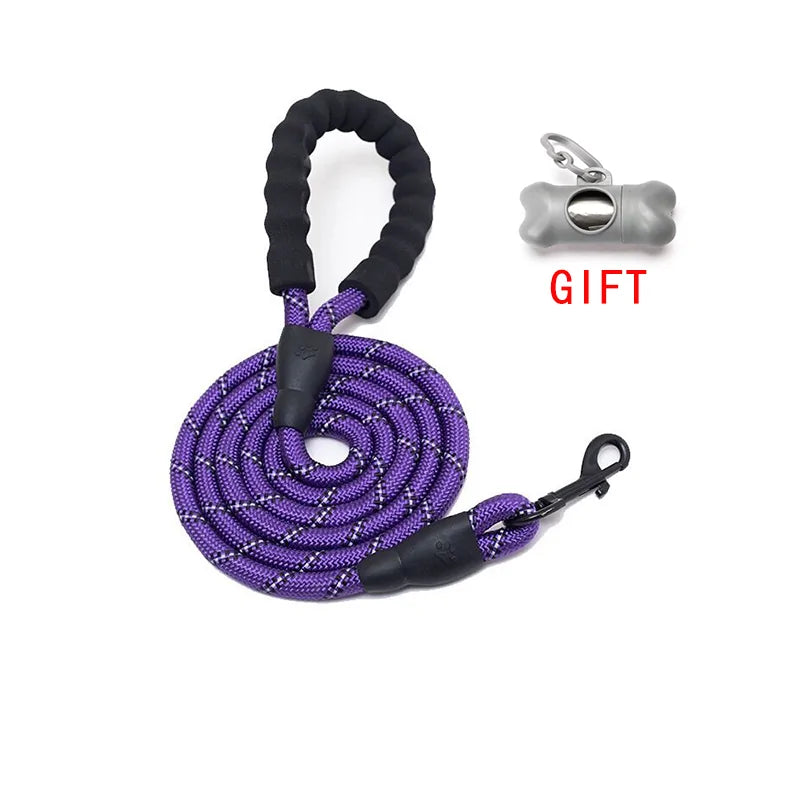 Pet Dog Leash Walking Training Leash