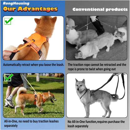 All-in-One Dog Harness and Retractable Leash Set