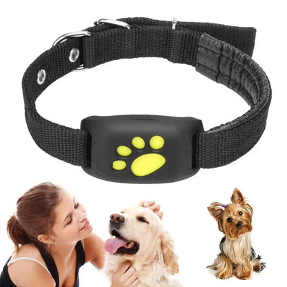 Smart Pet GPS Tracking Collar