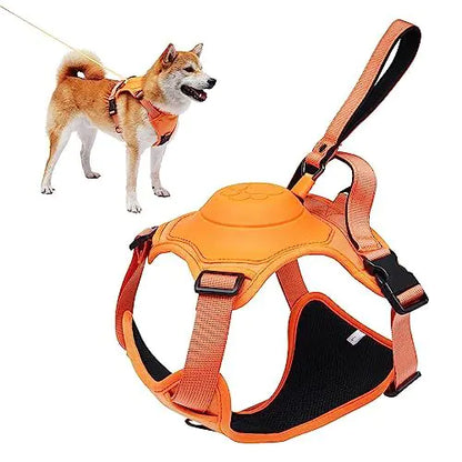 All-in-One Dog Harness and Retractable Leash Set